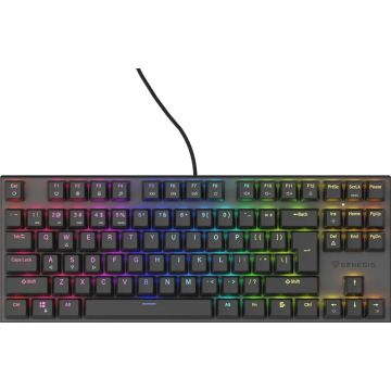 KLAVIATŪRA ŽAID GENESIS THOR 303 TKL RGB