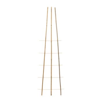 Kopėtėlės augalams remti, 3 cm x 50 cm x 150 cm