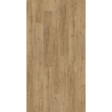 Vinilinė grindų danga Cosmos 60002163 su XPS paklotu