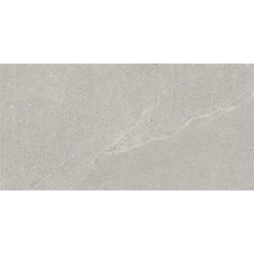Plytelės, keraminės MIROCKMAN LIGHT GREY29.8X59.8(1.6)