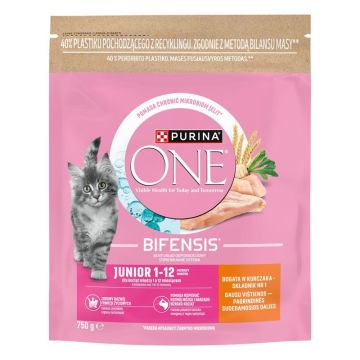 Sausas kačių maistas Purina One vištiena, 750g