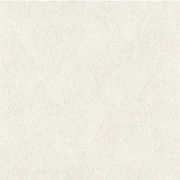 RASCH VINYL WALLPAPERS 423204 0.53