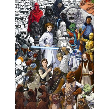 Fototapetas Komar STAR WARS Classic 4-4111, 254 cm x 184 cm
