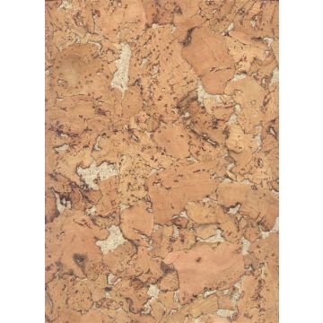 DANG KAMŠT CONDOR BEIGE 30X60X0.3 (1.98)