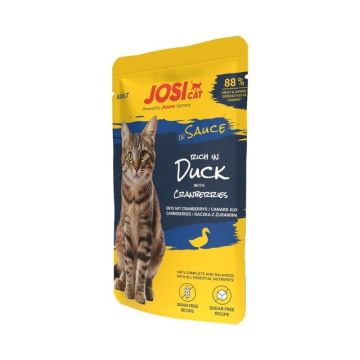 Šlapias kačių maistas Josera JosiCat In Sauce antiena 85G