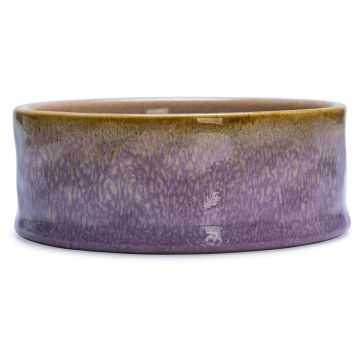Dubenėlis gyvūnams Beeztees, 0.8 l, 16 cm x 16 cm