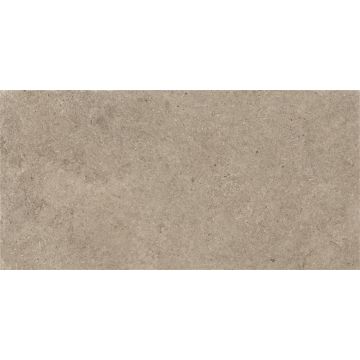 Plytelės, akmens masės ARTE STONE DUNE R10 60X120 (1.44)