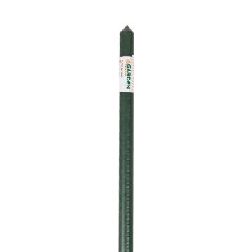 Lazdelė augalams remti Garden Center, 210 cm x 1.6 cm