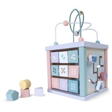 Lavinamasis kubas EcoToys EDUKACINIS KUBAS 1021