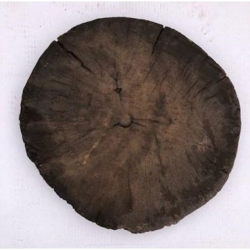 Dekoratyvinis akmuo Pirita 400 (1)