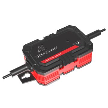 Akum įkroviklis Autoserio BT03-Z1.0A-D1, 6-12V, 1A