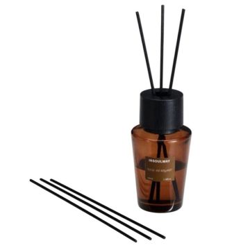 Namų kvapas INSOULWAY, 100 ml
