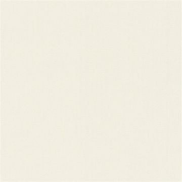 RASCH VINYL WALLPAPERS 424010 0.53