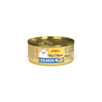 Šlapias kačių maistas JosiCat Mousse su lašiša, 85G