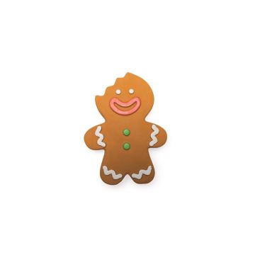 Žaislas šuniui Gingerbread man 20