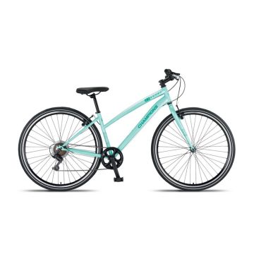 Šakų genėjimo pjūklas Fiskars 1080690, 200 mm