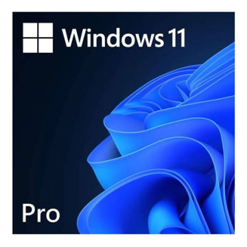 Microsoft Windows 11 Pro programinė įranga