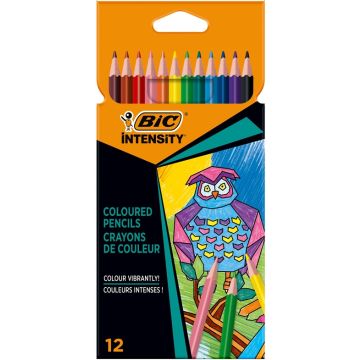 Spalvoti pieštukai BIC INTENSITY 9505272, 12 spalvų