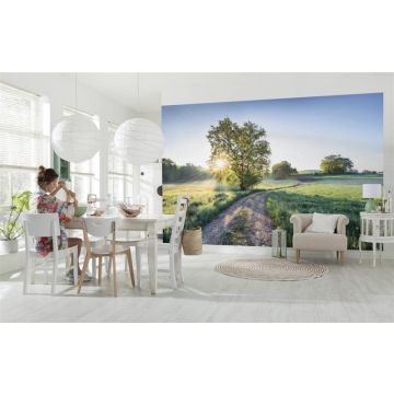  Fototapetas SUNNY DECOR SD134, 3680×2540 mm
