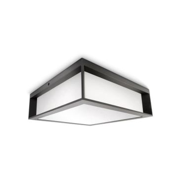 Šviestuvas Philips 14W, E27, IP44, antracito, 26 cm x 8.1 cm