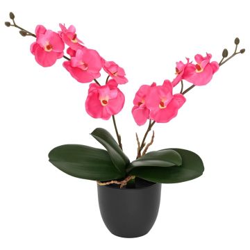 Dirbtinė orchidėjų augalas Raudona 36 x 10 x 30 cm