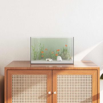 Akvariumas su saugykla Skaidrus 40 x 25 x 25 cm Stiklas