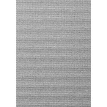 Dažomieji tapetai ST T1003 A106