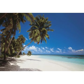Fototapetas Komar 8-240, 368 cm x 254 cm