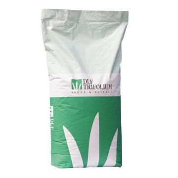 Vejų sėklos DLF Robustica, 20 kg