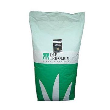 Vejų sėklos DLF Road, 20 kg
