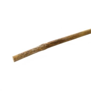 Lazdelė augalams remti GARDEN CENTER, 1.8 m, bambu. pluoštas