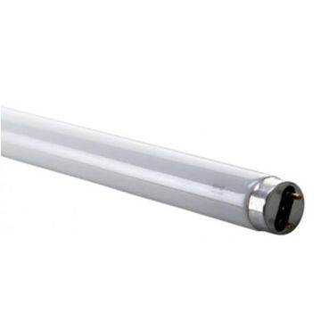 Liuminescencinė lempa Spectrum T8, 36W, G13, 6500K, 3015lm