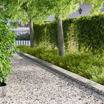 Vejo kraštas 30 pcs 102 x 15 x 4 cm Plienas Sidabrinė
