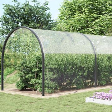 Tent su kilpom Skaidrus 8 x 8 m Polietilenas