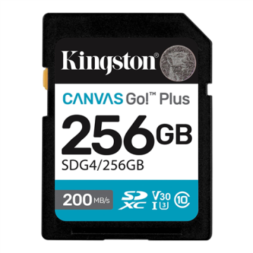 Kingston atminties kortelė U3, 256 GB