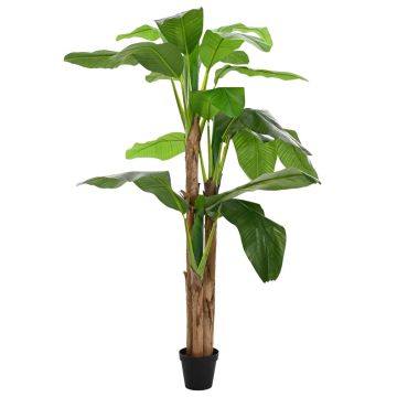 Dirbtinis bananinio medis Žalia 125 x 25 x 250 cm