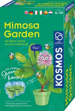 Augalų auginimo rinkinys Kosmos Mimosa Garden