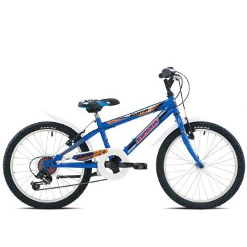 Vaikiškas dviratis, mėlynas, 20