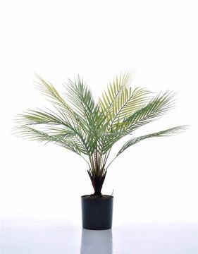 Dirbtinis augalas Palma vazone, 62cm