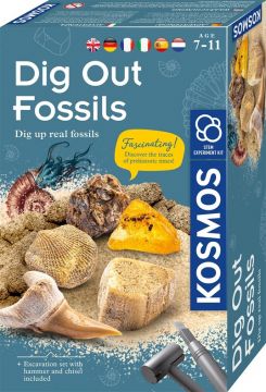 Tyrinėtojo rinkinys Kosmos Dog Out Fossils 1KS616922