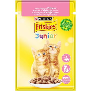 Šlapias kačių maistas Friskies Purina, 0.085 kg