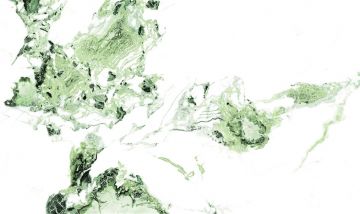 Keraminės sienų plytelės Yura Green, 33.3 x 55 cm