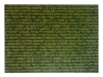 Guminė grindų danga Okko Thema Lux M13018, 130 cm