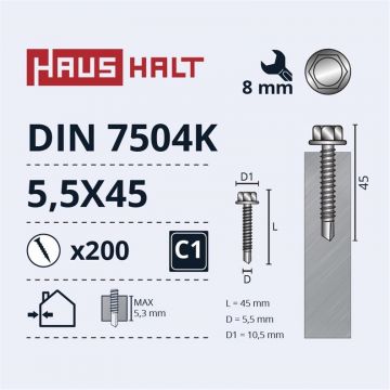 Savisriegiai Haushalt, DIN 7504K, 5,5 x 45 mm, 200 vnt.