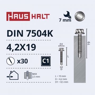 Savisriegiai Haushalt, DIN 7504K, 4,2 x 19 mm, 30 vnt.
