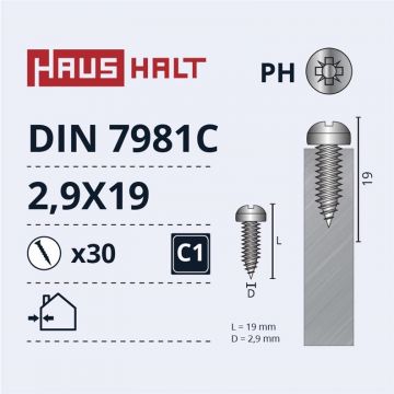 Savisriegiai Haushalt, DIN7981C, 2.9 x 19 mm, 30 vnt.