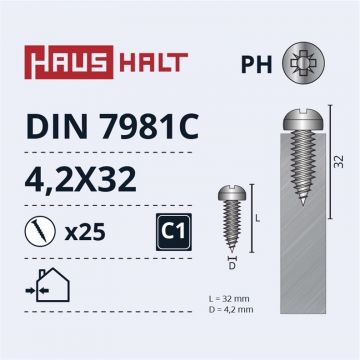 Savisriegiai Haushalt, DIN7981C, 4.2 x 32 mm, 25 vnt.